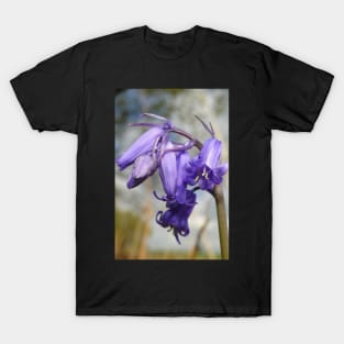 Blubells Ring, Are You Listening T-Shirt